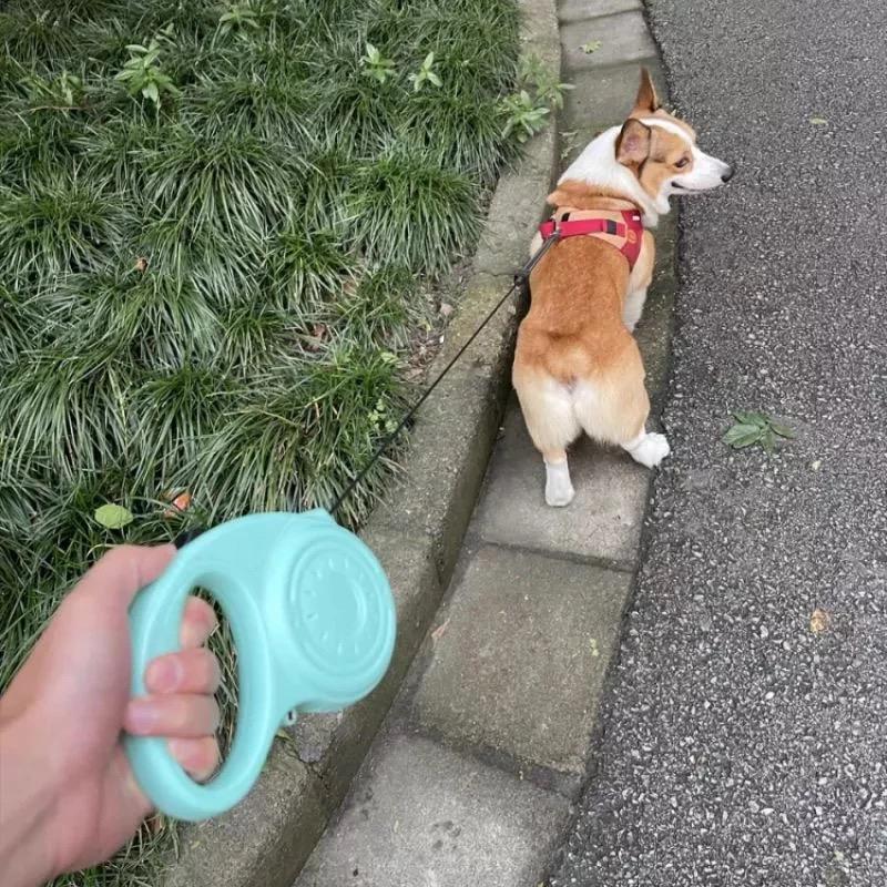 Correa Retráctil De 5mts Para Mascotas